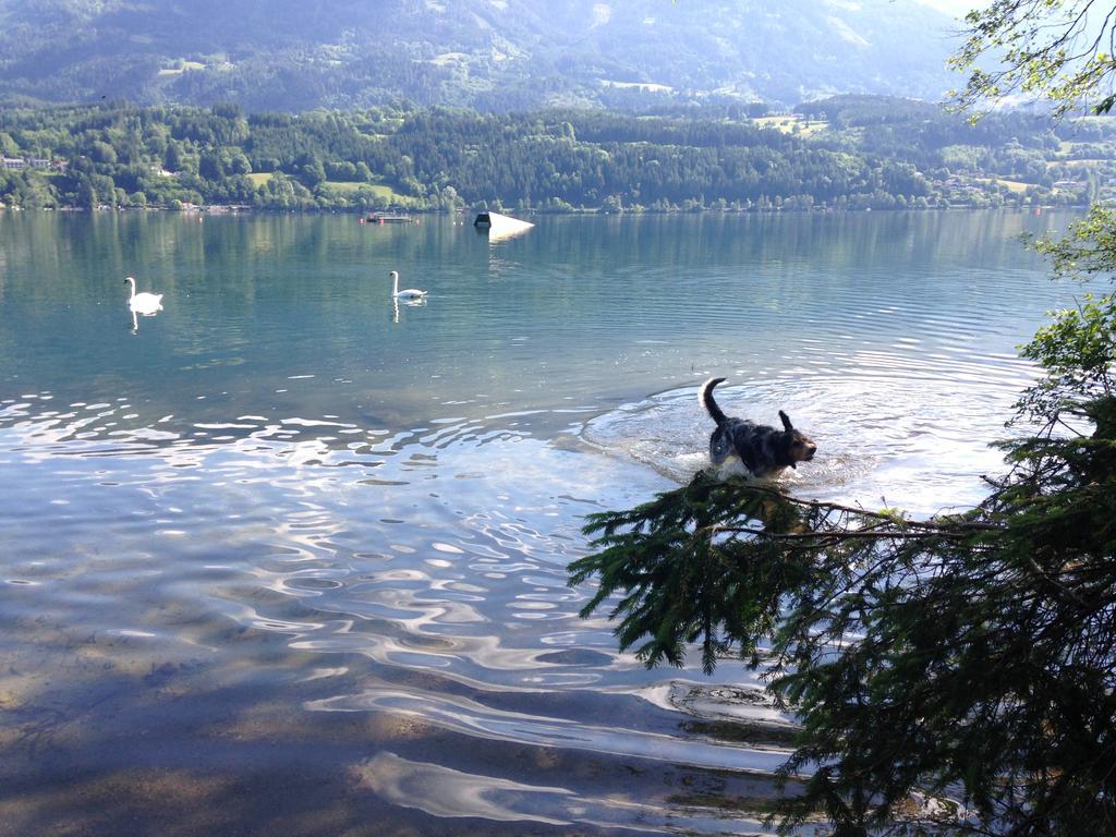 Ruhige Wohnung Mit Schoenem Eigengarten In Seeboden Am Millstaettersee Room photo