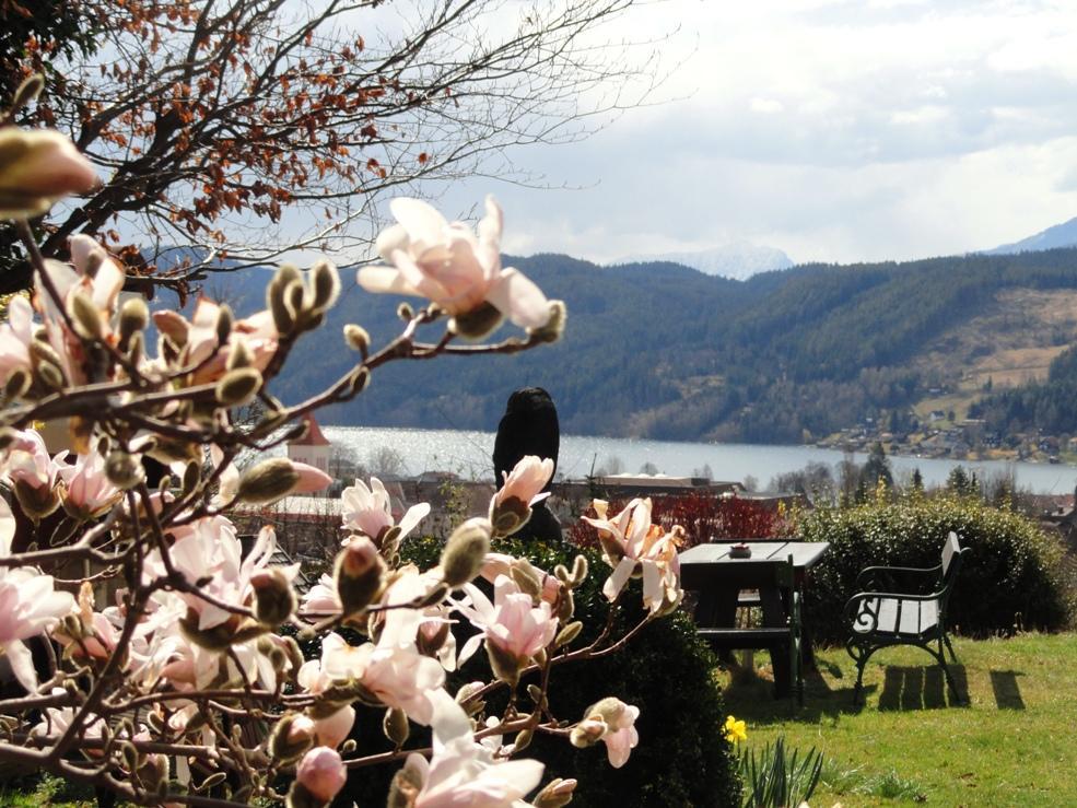 Ruhige Wohnung Mit Schoenem Eigengarten In Seeboden Am Millstaettersee Exterior photo